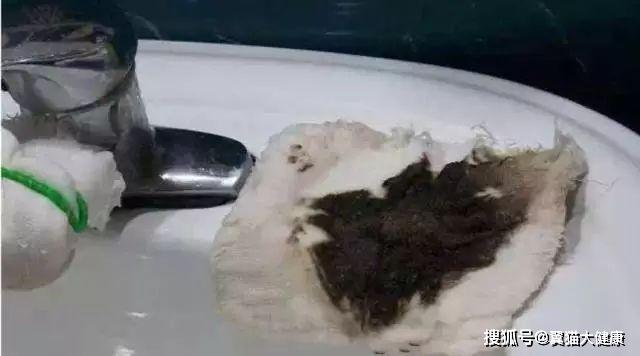 揭秘水污染真相，小杰的河流探索之旅——溫馨河流的秘密揭秘視頻