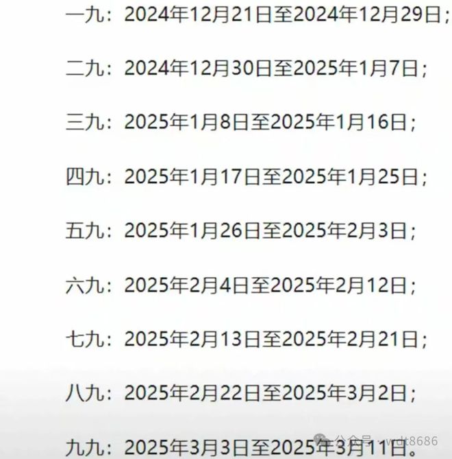 最新久久網(wǎng)2025，友情小船與溫馨日常的交織