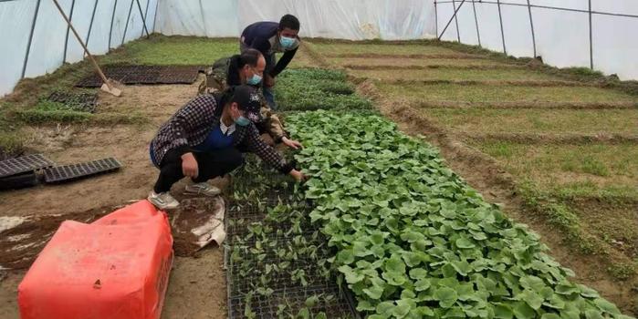 策勒最新招聘啟航人才新篇章，學(xué)習(xí)變化，擁抱自信與成就，啟程人生新征程！