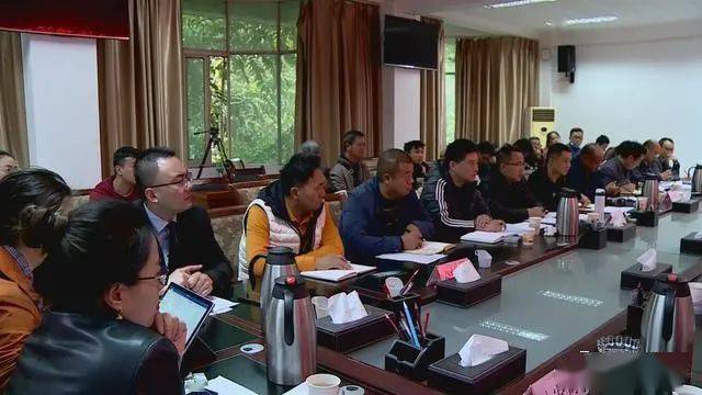 德昌最新新聞，擁抱自然，心靈寧靜之旅啟程