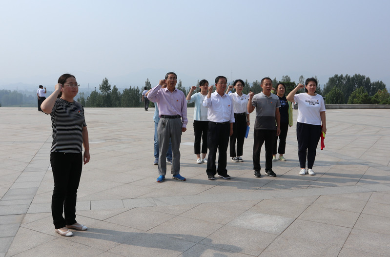 肥城房產(chǎn)最新動(dòng)態(tài)，市場(chǎng)走勢(shì)、熱門區(qū)域與案例分析