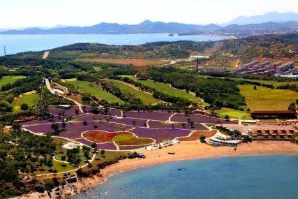 心悅海島探險(xiǎn)攻略，最新任務(wù)指南與探險(xiǎn)體驗(yàn)