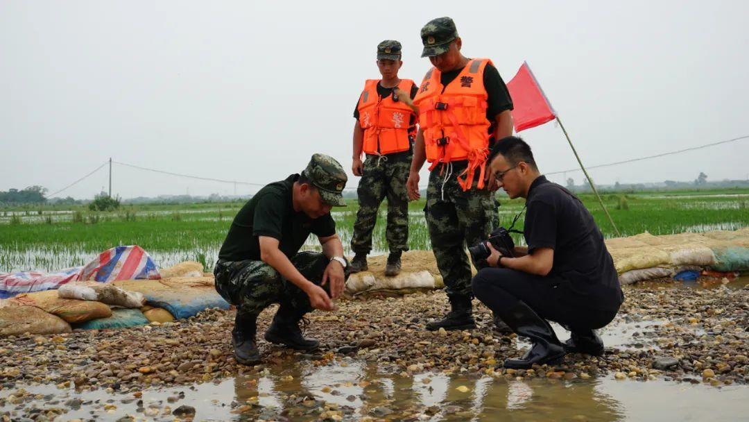永修最新聞，背景探尋與時代地位的重要事件回顧