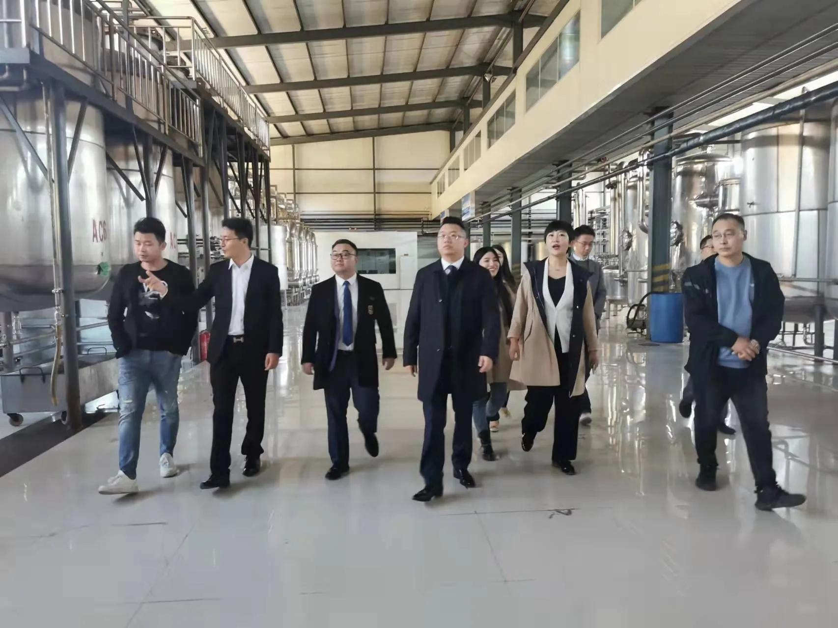 鼎恒升最新動態(tài)，追溯特定領域的發(fā)展歷程與重要地位