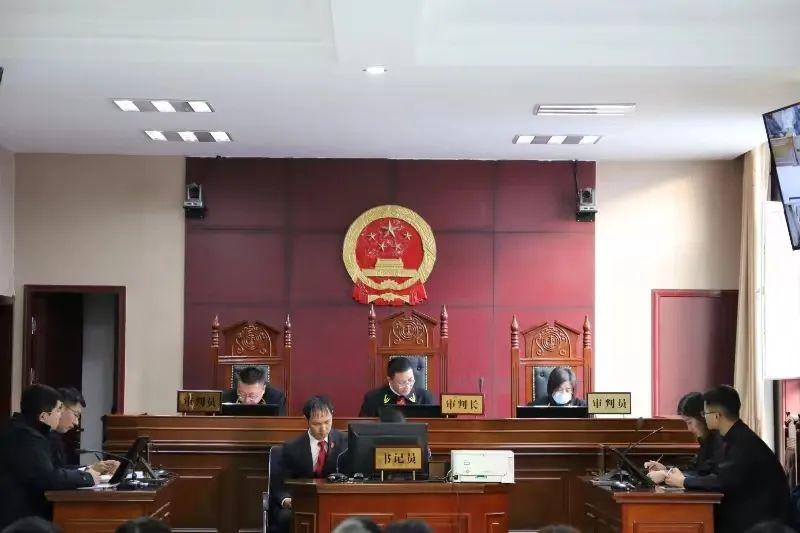 偏關(guān)最新案件深度解析，揭示真相，關(guān)注社會公正與公平