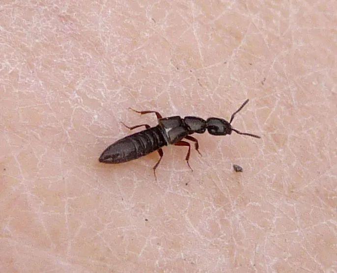 高效應對問題關鍵策略，最新處理方法詳解