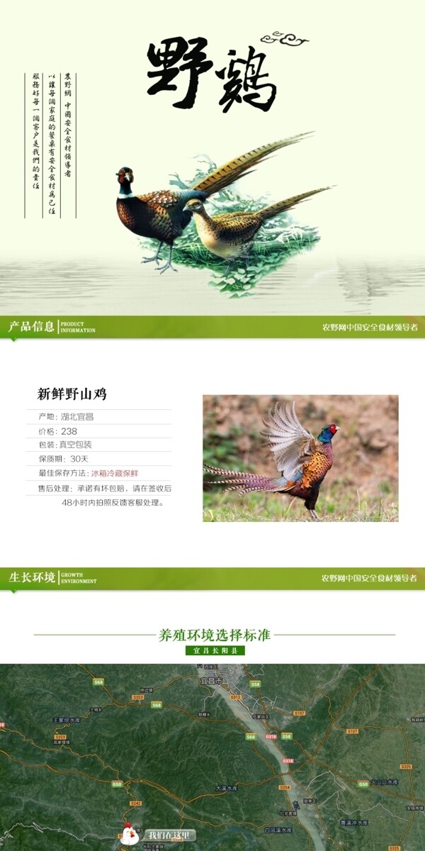 深度剖析，最新山雞的背景、事件與地位概述