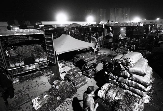 掌握新技能與完成任務(wù)，最新趨勢(shì)下的步驟指南