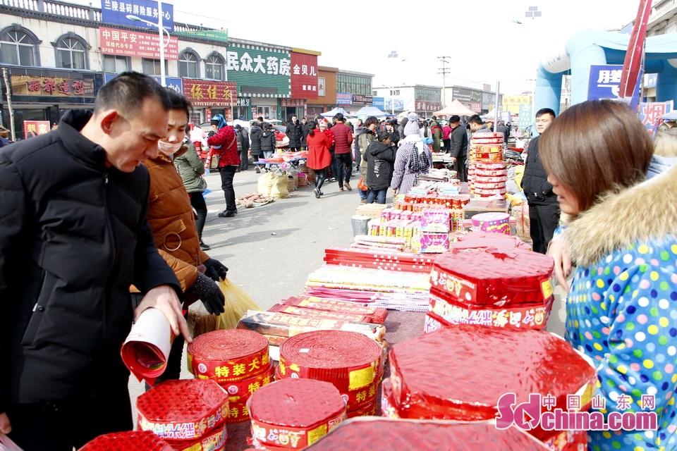 淘元素最新，淘淘的奇妙冒險之旅與友情的溫暖體驗