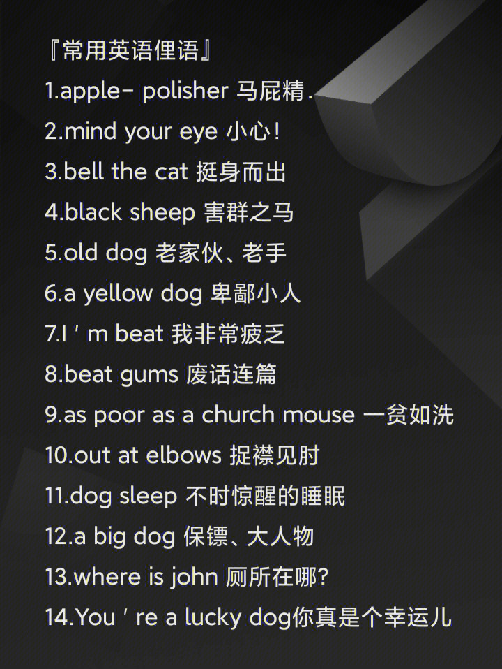 英文最新俚語揭秘，小巷秘密小店的潮流詞匯