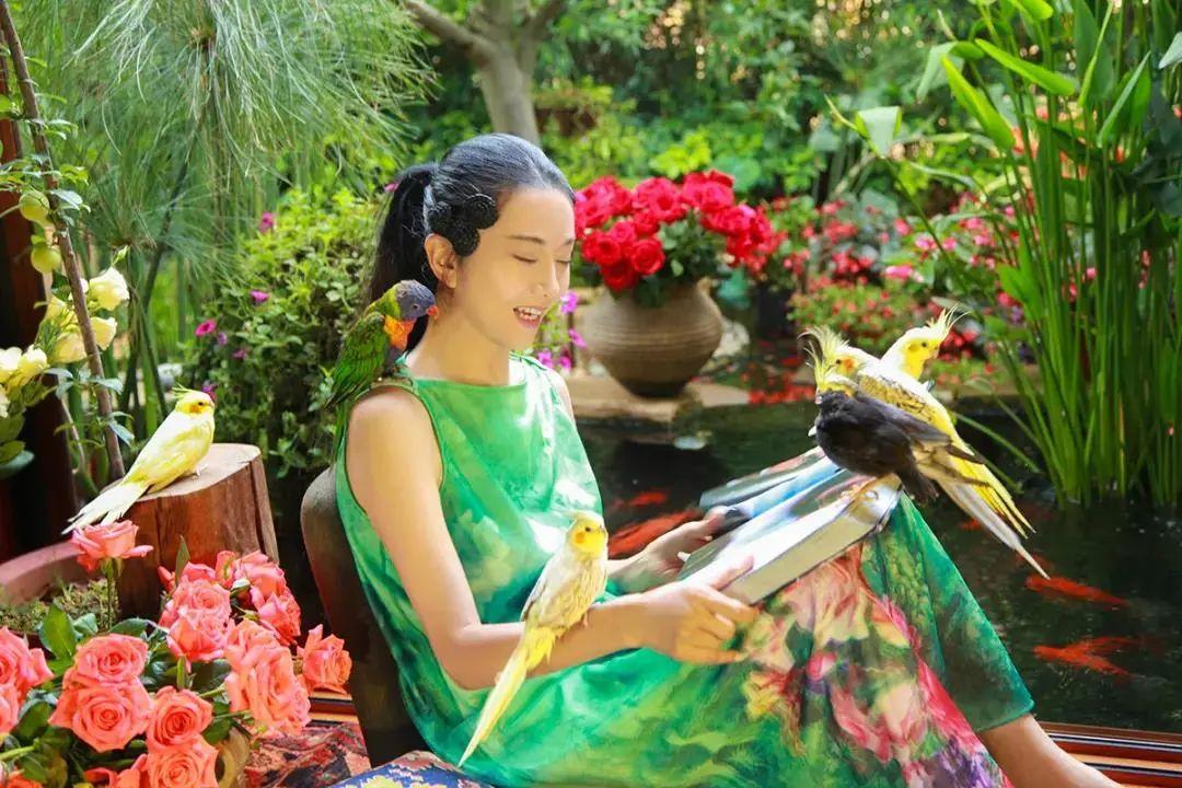 昆明最新舞蹈，文化現(xiàn)象的深度探討