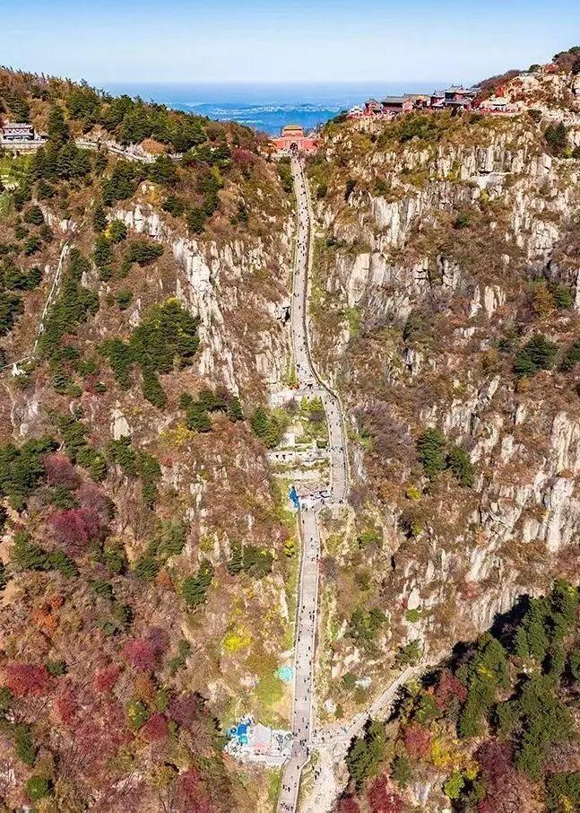 泰山最新聞，觀點(diǎn)與立場(chǎng)的深度探討