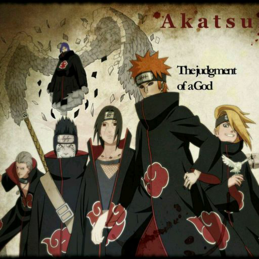 曉組織最新動(dòng)態(tài)揭秘，探究其發(fā)展與影響