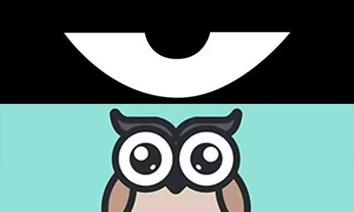 最新積目，全面解讀與觀點(diǎn)闡述