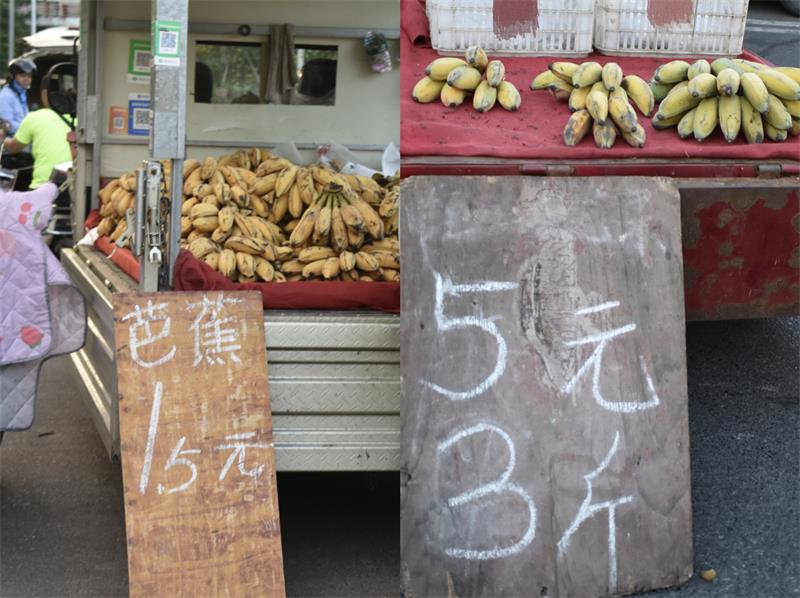 芭蕉最新價格，開啟心靈平靜的綠色之旅