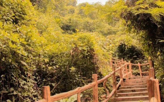 小99最新，科技、生活與娛樂的交融之地