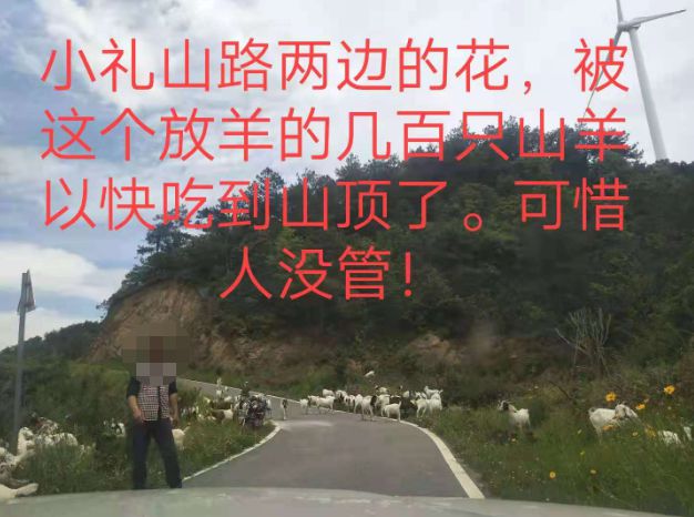 大悟最新路，探索未知，自信成就夢想之旅的啟程