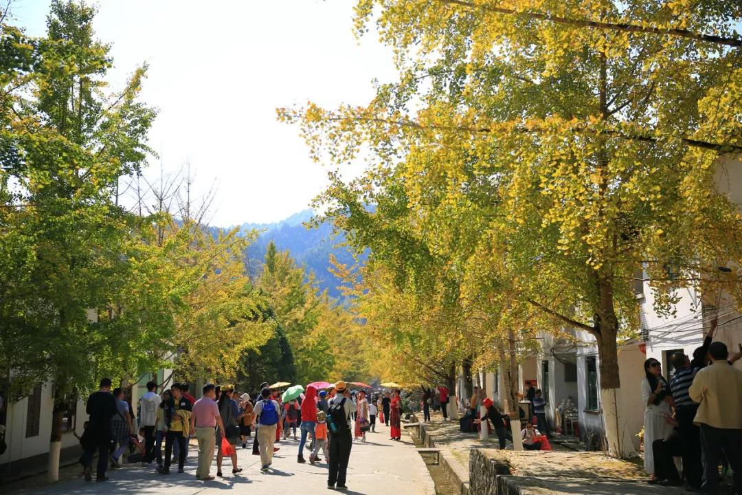 南雄最新現(xiàn)狀，科技前沿產(chǎn)品引領(lǐng)未來生活發(fā)展