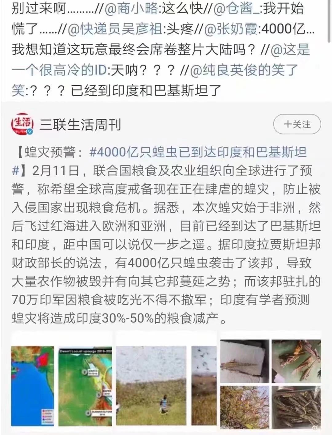 蝗蟲最新動(dòng)態(tài)，防治與監(jiān)測(cè)的全面指南