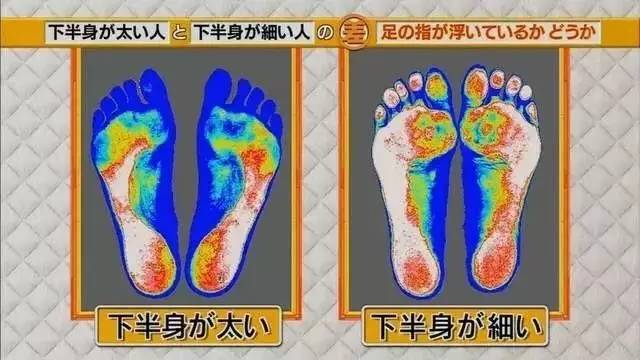 最新地趾論述，探索、爭(zhēng)議與觀點(diǎn)綜述