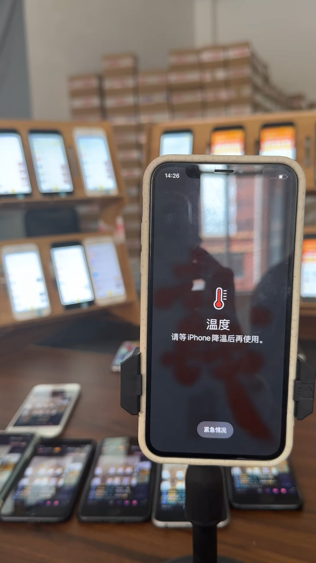 蘋果最新直播，科技與文化的完美融合盛宴