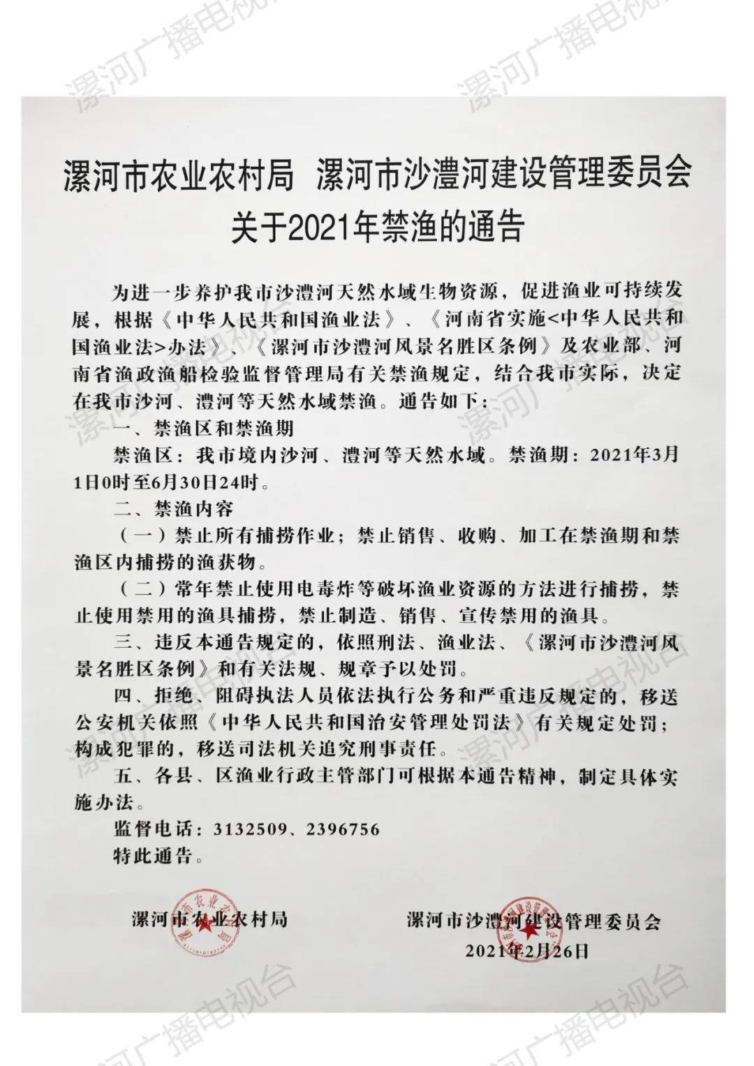 漯河最新通告，探索自然美景，尋覓內(nèi)心寧?kù)o與平和之旅
