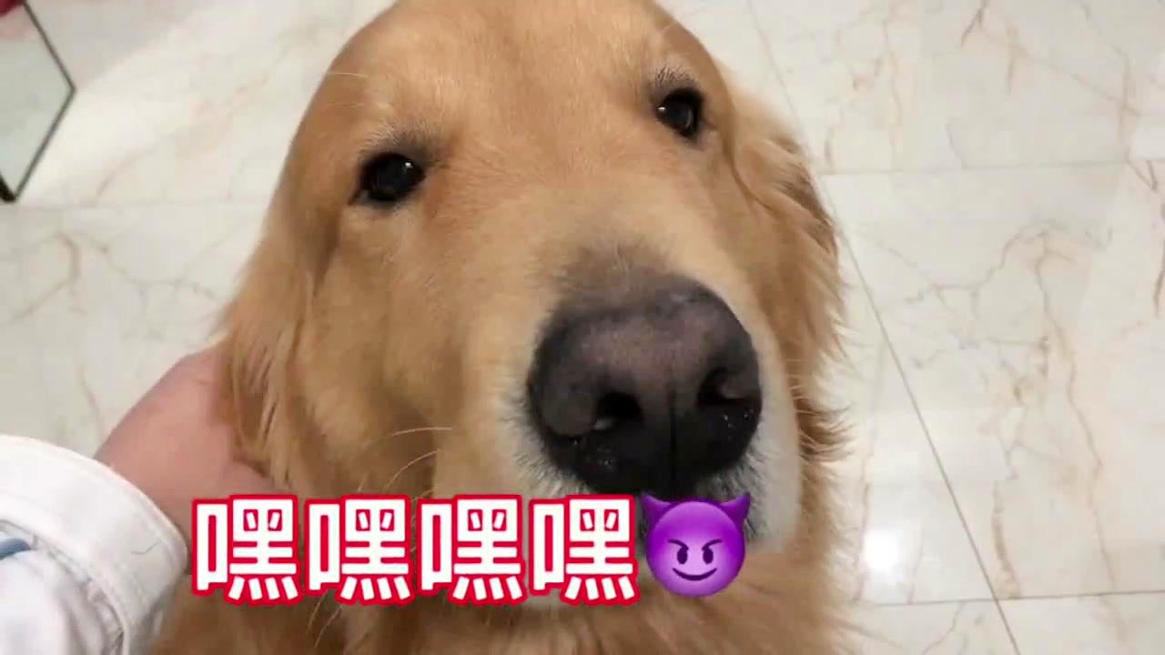 第282頁