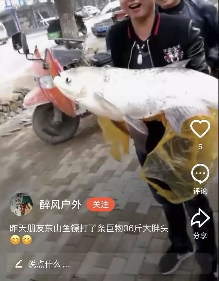 第275頁