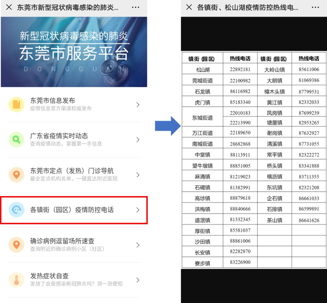 東莞最新疫情狀況，逆風(fēng)翱翔，用知識守護(hù)夢想健康