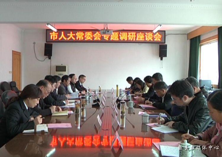 安徽歙縣最新動(dòng)態(tài)，小巷深處的驚喜