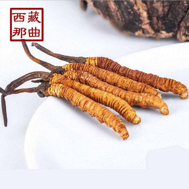 揭秘2025年蟲草最新價(jià)格，探尋小巷中的秘密行情！