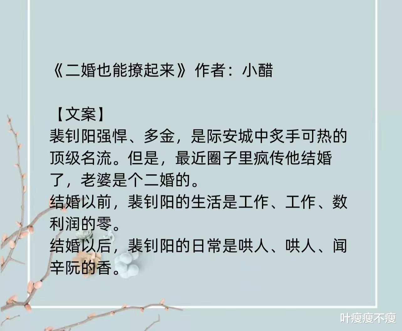 最新二婚小說(shuō)，小巷深處的浪漫故事